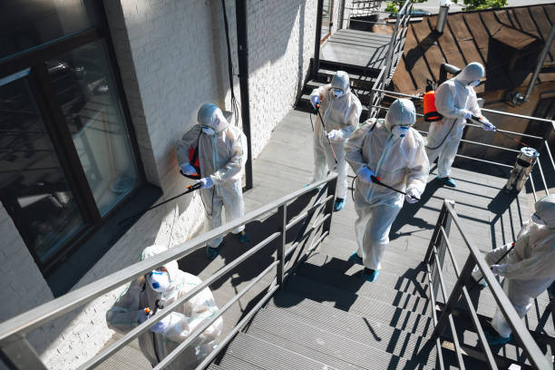 Best Mold Remediation for Healthcare Facilities  in Tubac, AZ