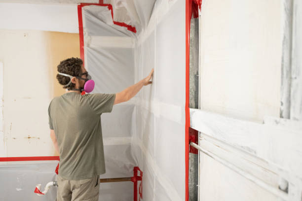 Professional Mold Removal in Tubac, AZ