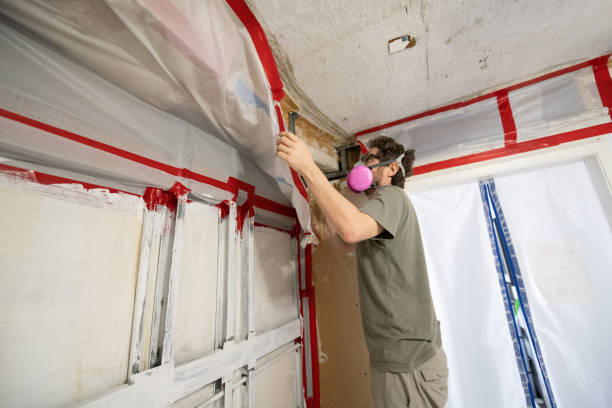 Dehumidification Services in Tubac, AZ